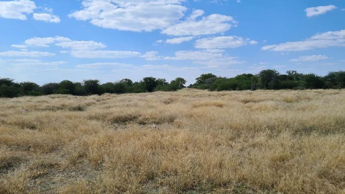 Property #2222859, Farm for sale in Tsumeb Central