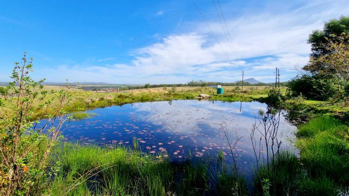 Ruiterbos Farm For Sale: Ample Water, Solar Power, Multiple Homes, Close to Hartenbos