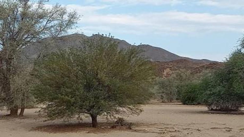 Another image where the mountain can be seen in the distance