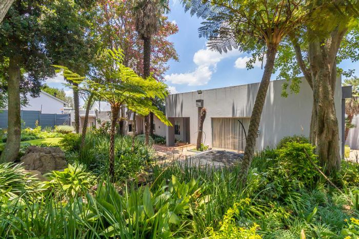 Craighall Park House For Sale: Spacious 4-bed home, pool, cottage, and security features.