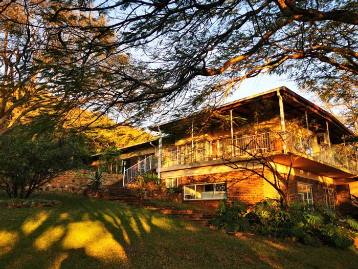 For Sale: Nelspruit Rural Farm with multiple dwellings and macadamia orchard.