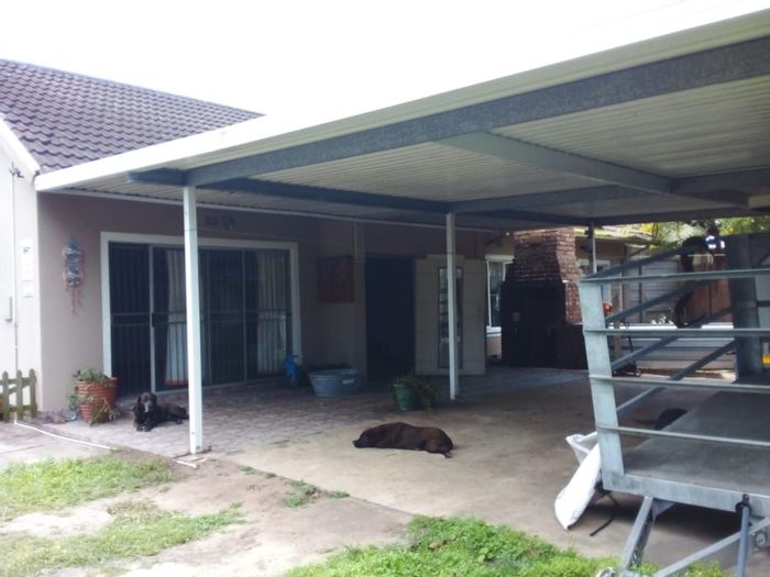 House To Rent in Arboretum: 3 bedrooms, double carport, pet-friendly, fibre internet.