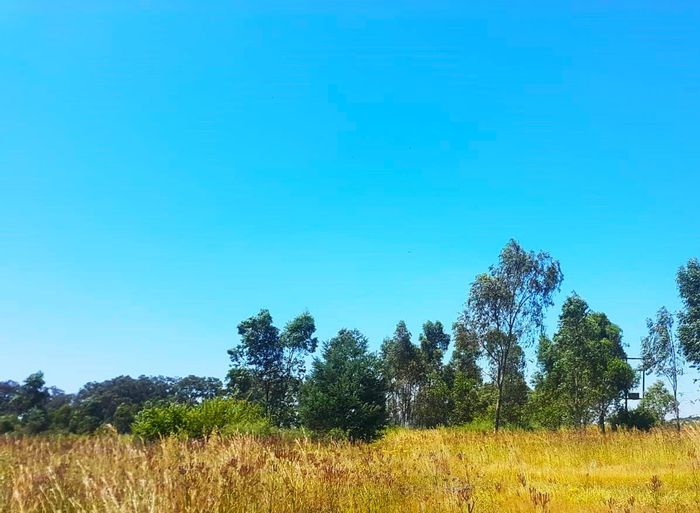 Property #2222987, Vacant Land Agricultural for sale in Vaal Marina Central