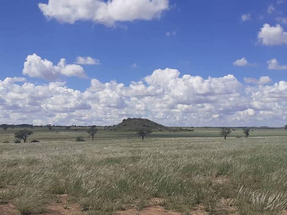 View of the field after the rain. 