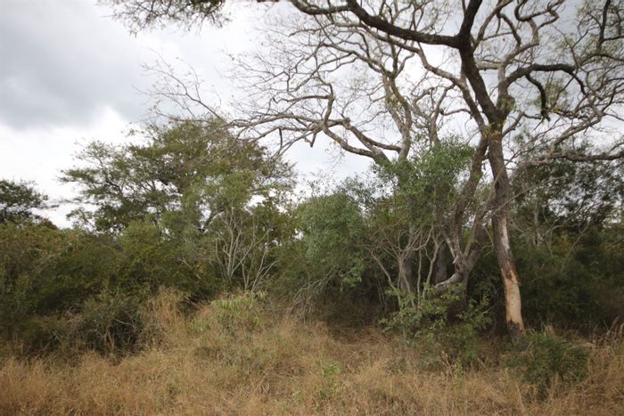 Property #1429940, Vacant Land Residential for sale in Moditlo Nature Reserve