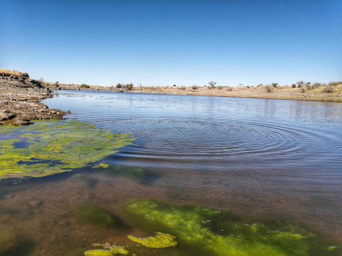 Farm for Sale in Mariental Central: Livestock-ready with ample water sources and camps.