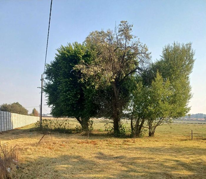 Spacious Putfontein Small Holding for Sale: 14 Acres with 3-Bedroom Home!