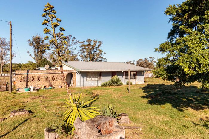 For Sale: 9-hectare farm in Gedults River with water sources and livestock facilities.