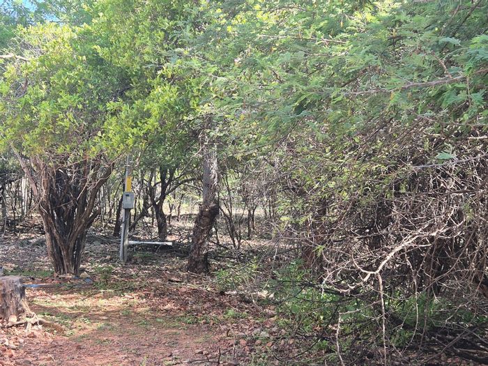 Vacant Land Residential for Sale in Leeupoort Central, 400m² near greenbelt.