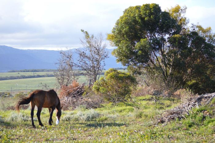 Fisherhaven For Sale: Vacant Land Residential with mountain views and nature trails.