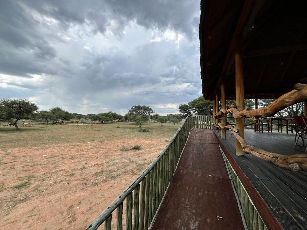 Hochfeld Central Farm For Sale 5,600 hectares, abundant water, game