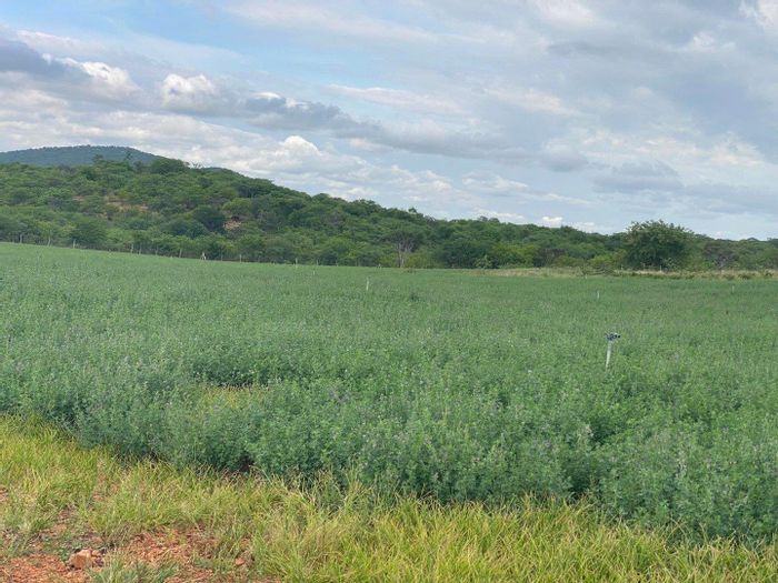 Property #2136698, Farm for sale in Musina