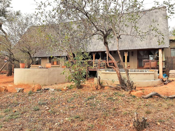 Game farms, bush houses, property for sale Hoedspruit Century21 Wildlife