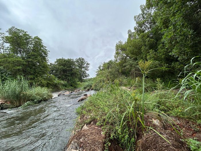 For Sale: 20-hectare farm in Tzaneen Rural with water rights and security.