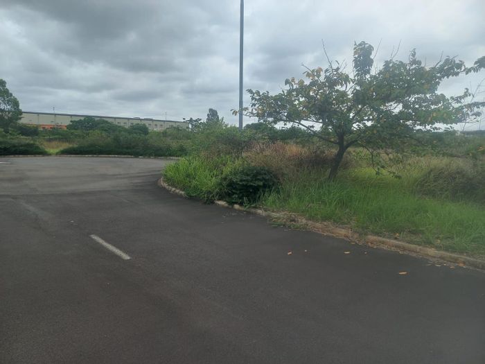 Property #2200702, Vacant Land Agricultural for sale in Richards Bay Central