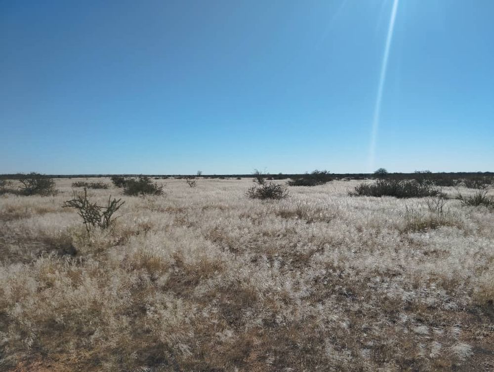 overview of farm land