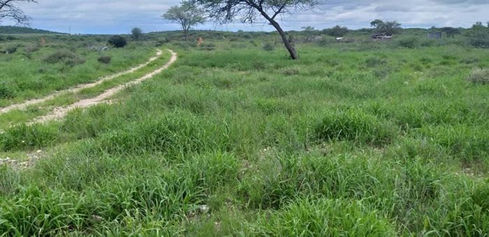 Property #2425444, Farm For Sale in Outjo Central