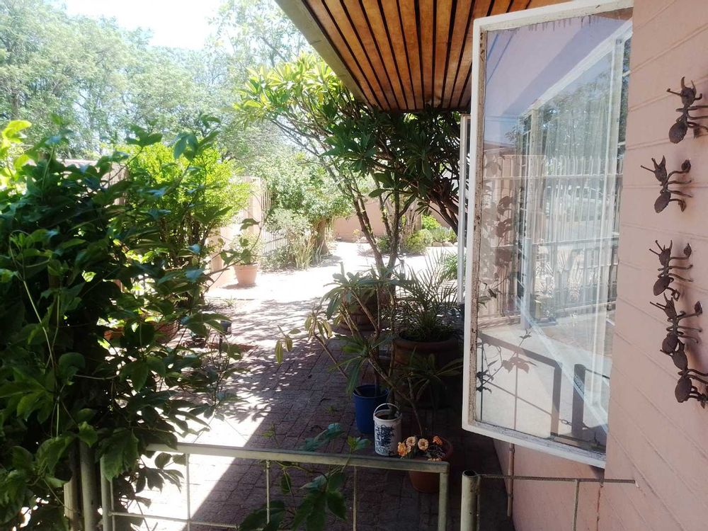 General view of the garden to the front of the property, as seen from the front entrance