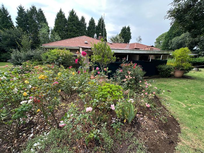 Dundee Central Small Holding For Sale: Off-grid, farming potential, eco-tourism, versatile infrastructure.