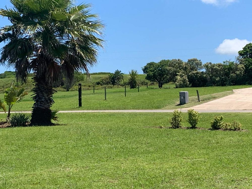 View of the plot from the play area