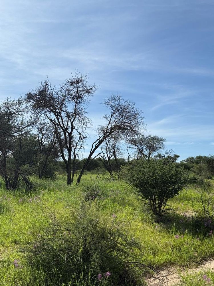 View of the field on the Farm