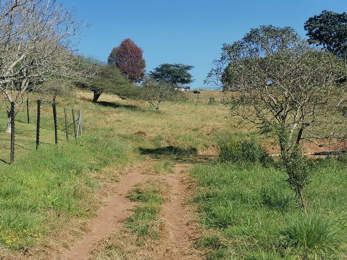 For Sale: Vacant Agricultural Land in Drummond with water connection and fenced boundaries.