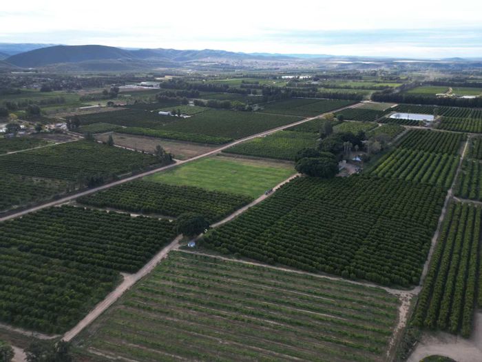Kirkwood Central Farm For Sale: Productive citrus, lucern, home, cottages, and water rights.
