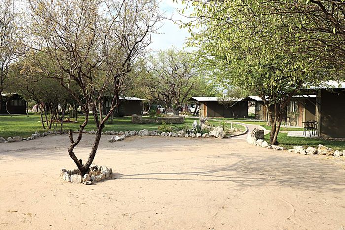 Property #2426166, Small Holding For Sale in Tsumeb Central