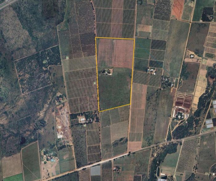 Citrus Farm For Sale in Brits Rural: 29 hectares, water resources, off-grid power.