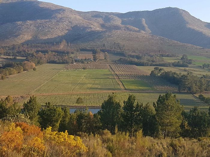 For Sale: Farm in Joubertina Central with guest cottages, water rights, and orchards.