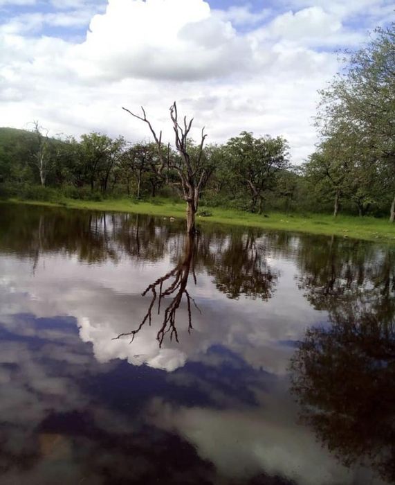 For Sale: Farm in Outjo Central with 7 beds, boreholes, and grazing land.