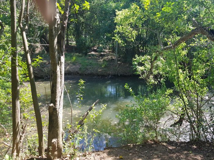 Property #2025020, Small Holding for sale in Boschkop