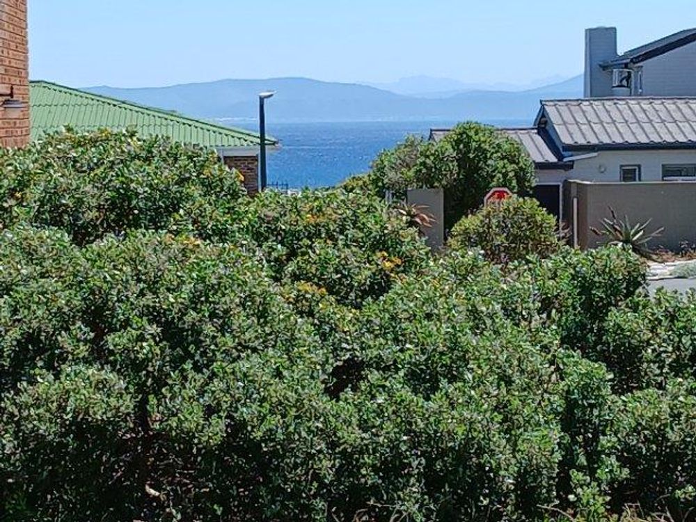 Once again the same photo; now zoomed in a bit more.