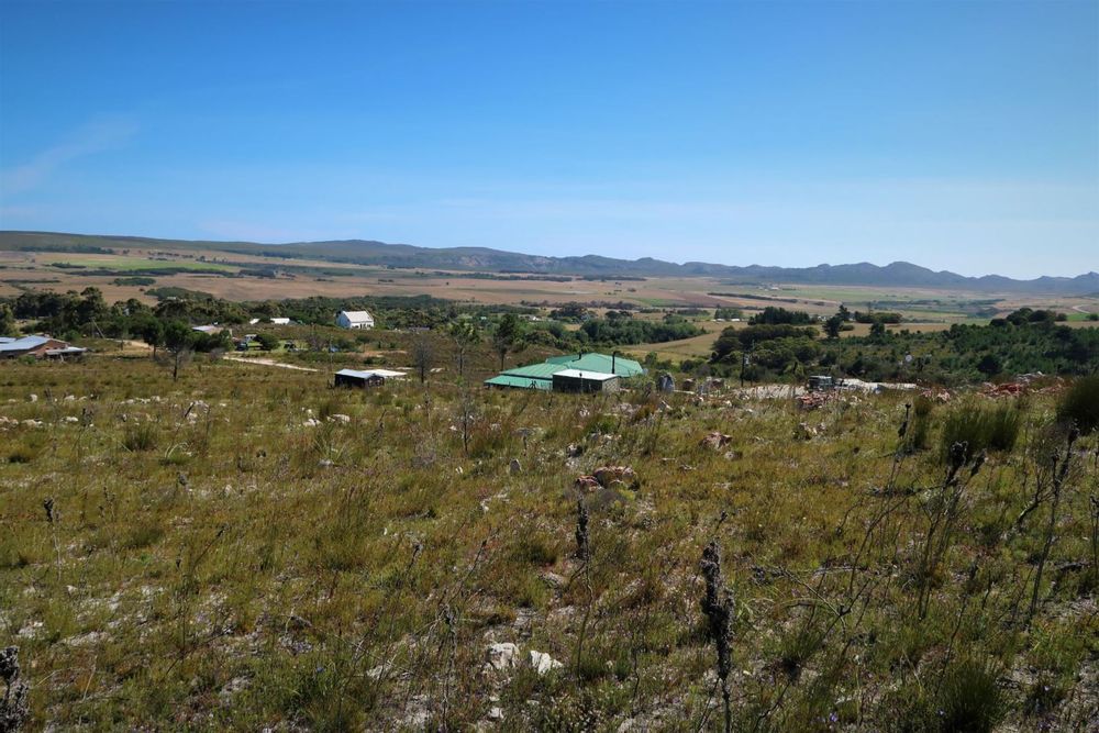 Looking towards the limestone koppies separating the Bbos valley from the coastal plains