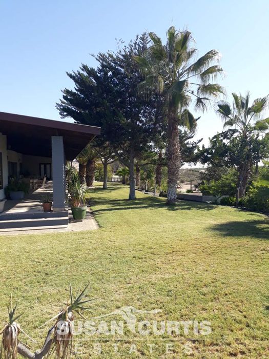 Swakopmund River Plots: For Sale Small Holding with multiple homes and extensive amenities.