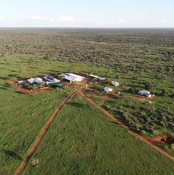 For Sale: Steinhausen Farm with cattle/game amenities, equipped butchery, and solar power.