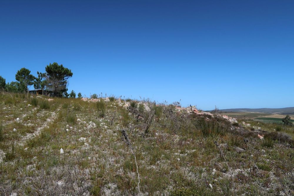 The plot is covered with Overberg sandstone fynbos