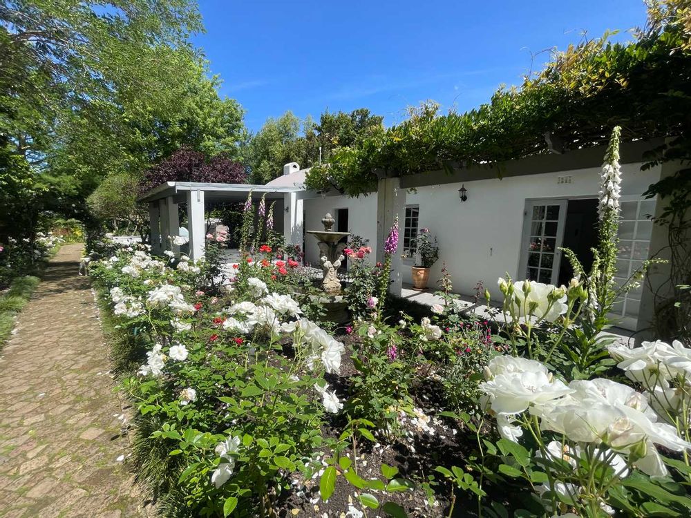 Beautiful Rose garden to welcome you