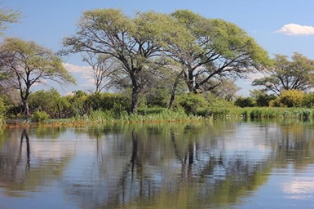 Lake During Seasonal Flood
