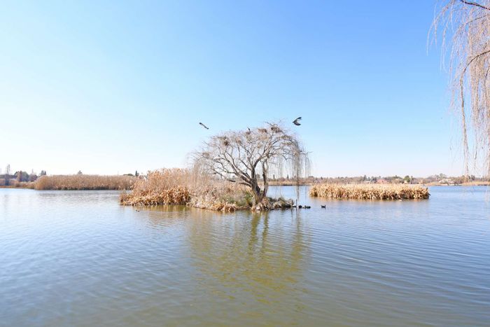 Dalpark House For Sale: 3 Bedrooms, Pool, Study, Bird Sanctuary Access.
