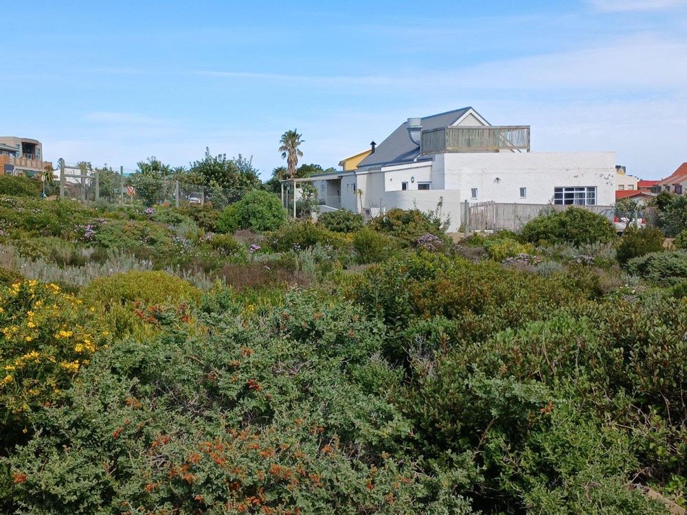 Again our Plot in front of us - with the Restaurant at the back.