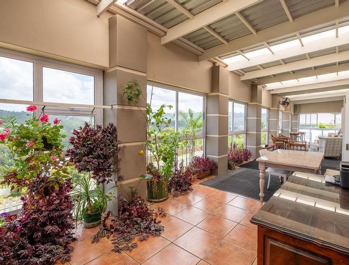 Knysna Heights House For Sale: North-facing, spacious with solar, rainwater tanks, and views.