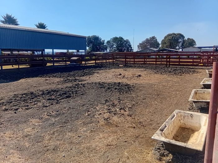 490 ha farm in Withok Estate to rent, ideal for livestock with essential amenities.
