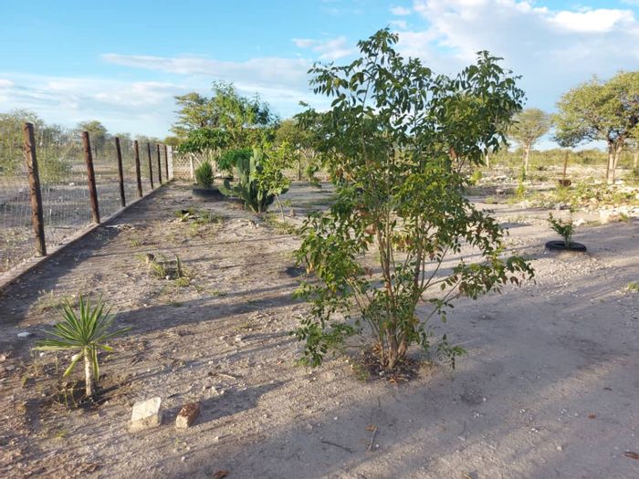 Tsumeb Central Farm For Sale: 3300 hectares, game fencing, boreholes, tourist potential.