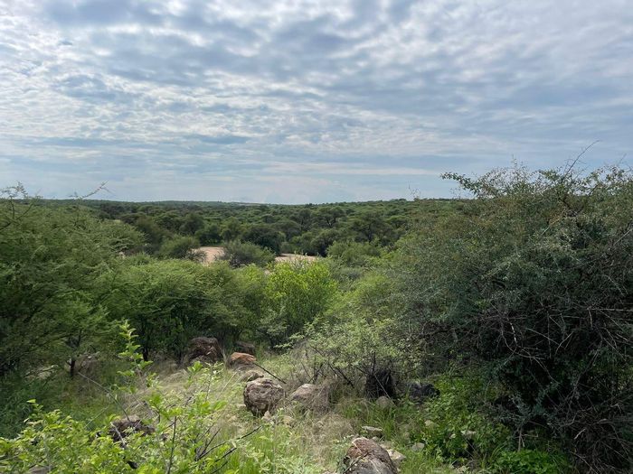 Property #2169749, Vacant Land Agricultural for sale in Okahandja Central
