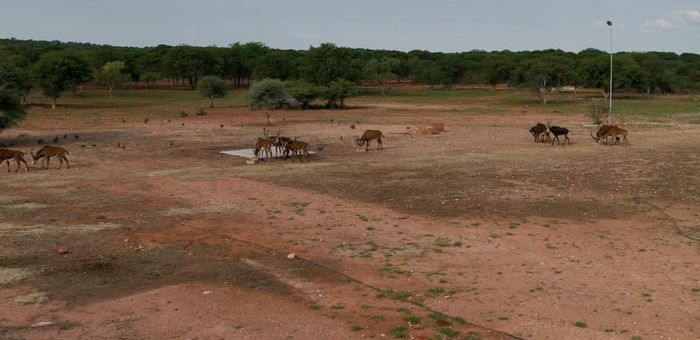 For Sale: Tsumeb Central Farm with wildlife views, waterholes, and vast land.