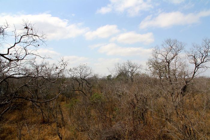 Prime 10,000m2 Moditlo Nature Reserve Land for Sale with Power and Water Connections