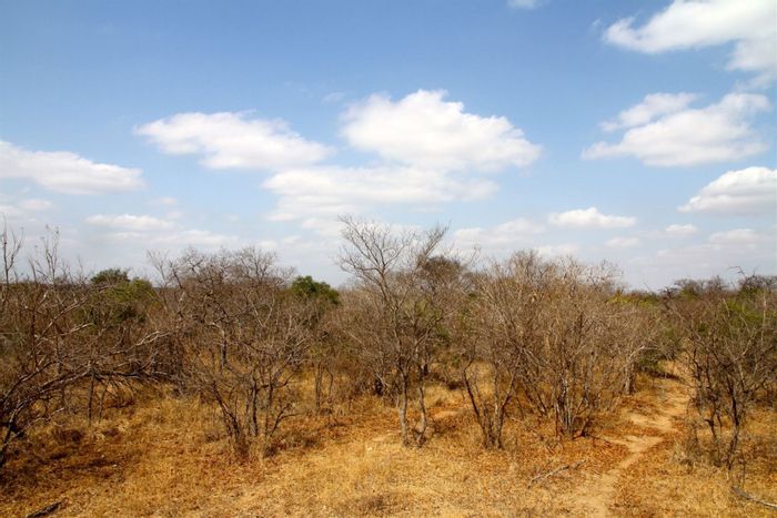 Property #1446736, Vacant Land Residential for sale in Moditlo Nature Reserve
