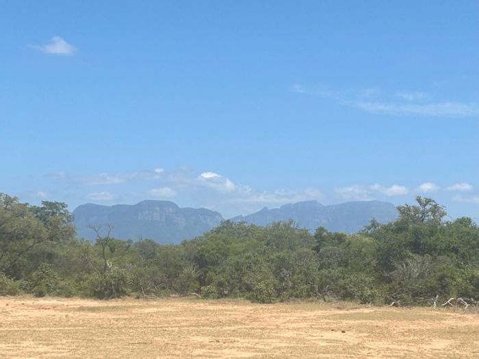 Vacant Land for Sale in Moditlo Nature Reserve, riverbed views and wildlife access.