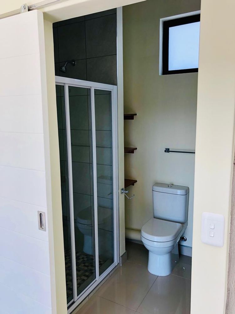 Shower, basin and toilet